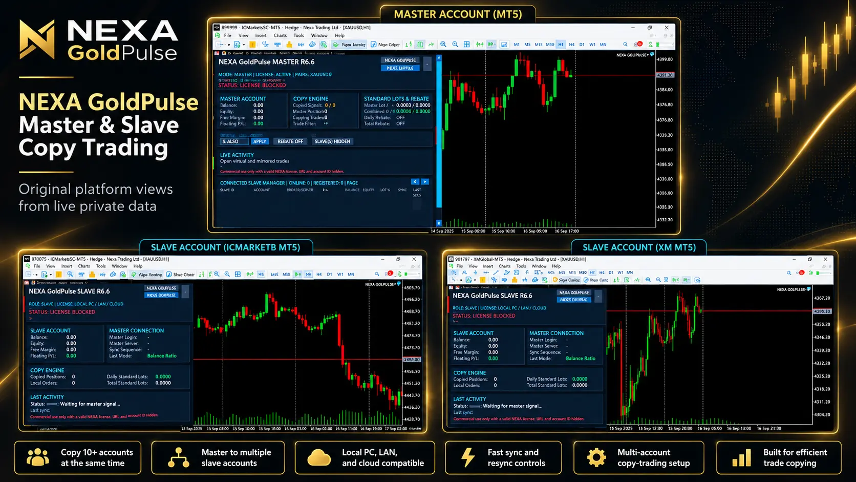 NEXA GoldPulse Master–Slave Copier